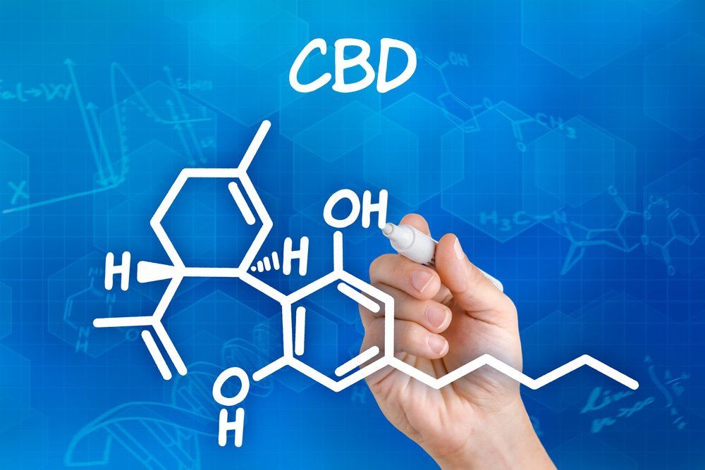 THE ENDOCANNABINOID SYSTEM (ECS)